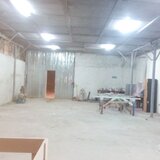 Pieptanari, spatiu hala